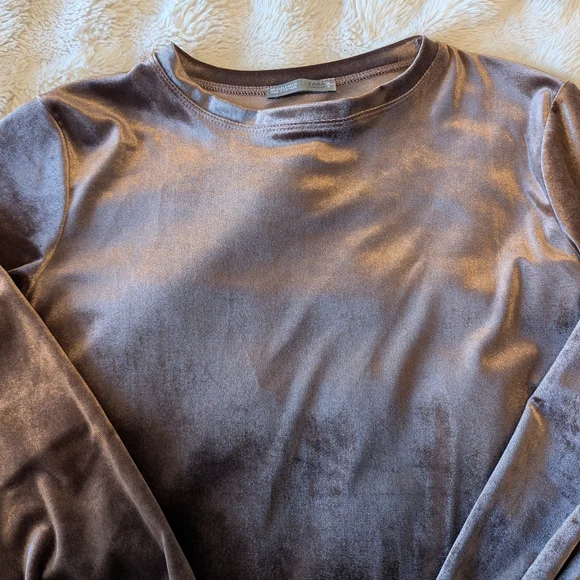 Zara Velvet Long Sleeve Dress in Soft Brown - Picture 3 of 6